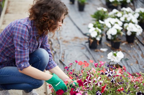 Landscapers Hernehill creating a welcoming garden entrance