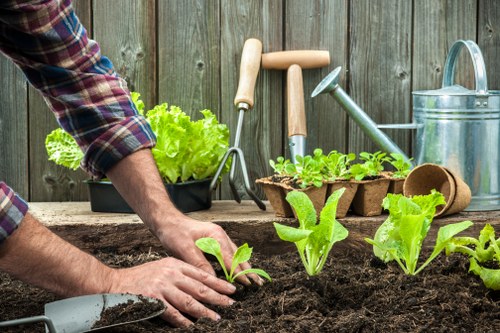 Healthy grass lawn care in Hernehill with seasonal maintenance