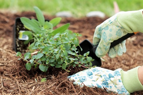 Review and continuous improvement section for Landscapers Hernehill
