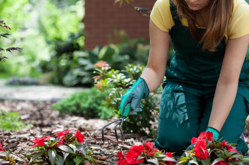 Structured garden landscaping with privacy features in Hernehill