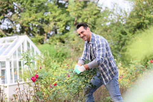 Local hedge trimming and garden boundary care in Hernehill