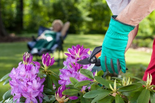 Cookie categories and browser settings for Hernehill landscaping