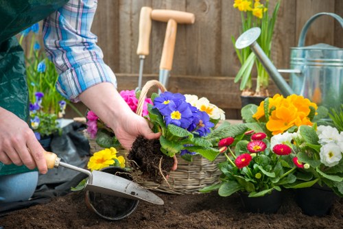 Professional lawn mowing in Hernehill using quality garden equipment