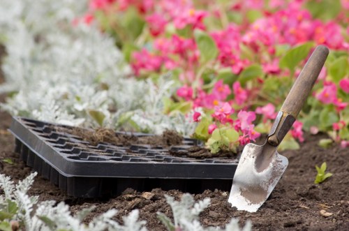 Planning a garden renovation in Hernehill with layout ideas