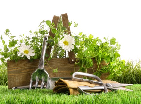 Low-carbon van used for sustainable landscaping waste collection