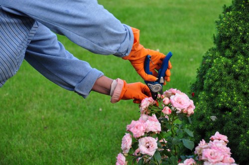 Professional hedge cutting for a residential garden in Hernehill