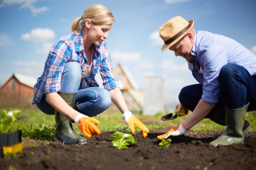 Landscapers Hernehill safety-focused rubbish removal service with trained workers