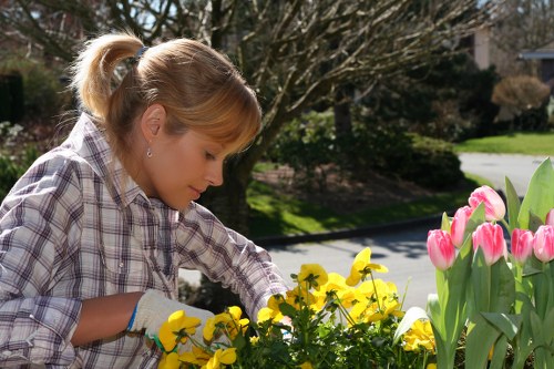Site safety check during a landscaping rubbish removal service in Hernehill