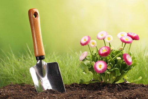 Professional landscapers Hernehill designing a patio and planting layout